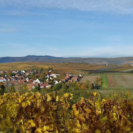 Villa Le Repaire Des Hirondelles - Le Colombage Scharrachbergheim-Irmstett Esterno foto