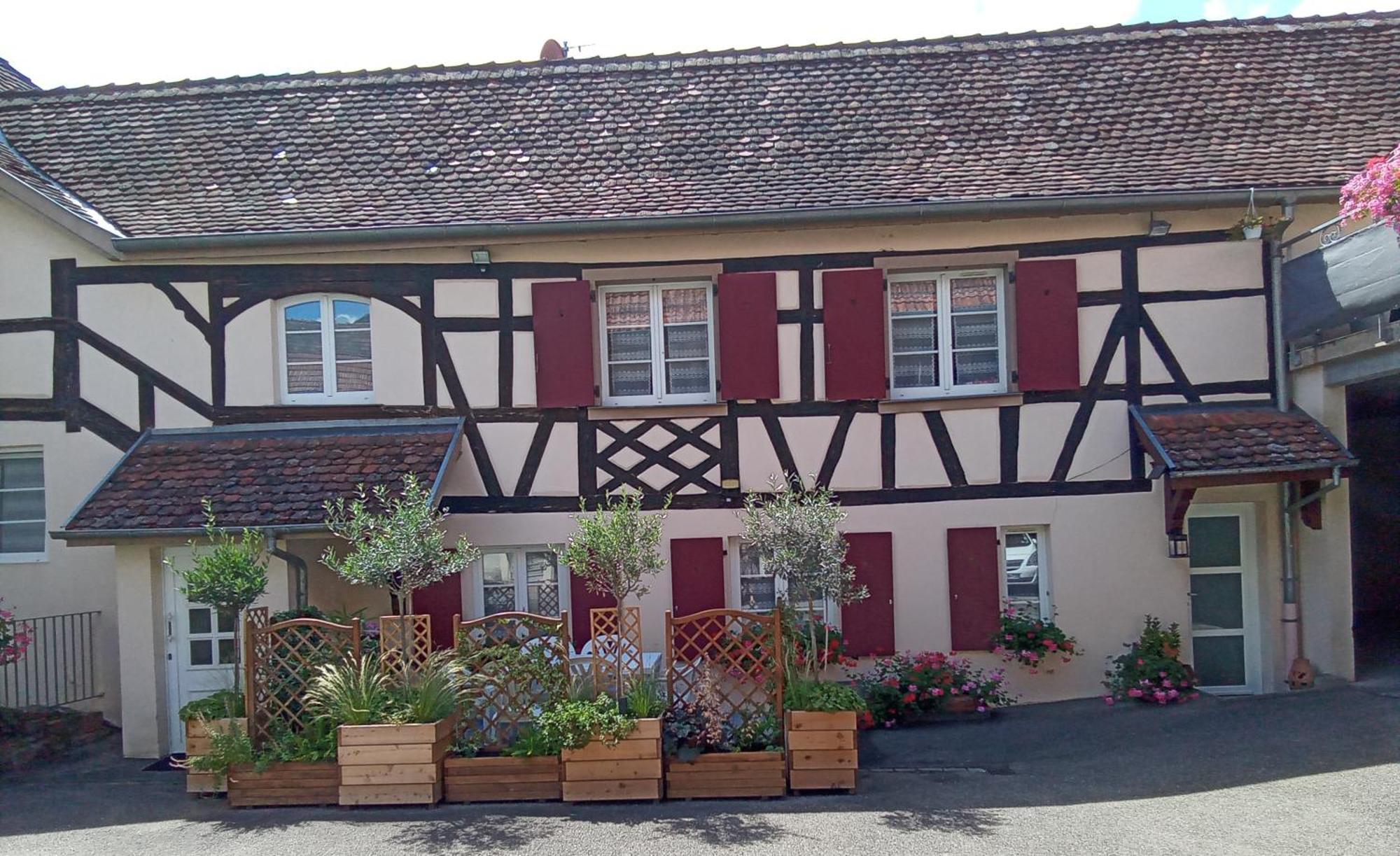 Villa Le Repaire Des Hirondelles - Le Colombage Scharrachbergheim-Irmstett Esterno foto