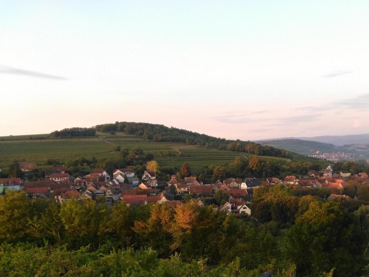 Villa Le Repaire Des Hirondelles - Le Colombage Scharrachbergheim-Irmstett Esterno foto